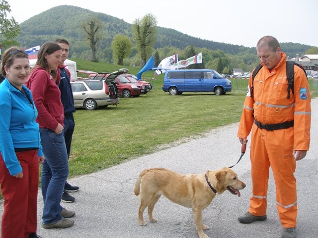 Državno prvenstvo in IRO tekma reševalnih pso - foto