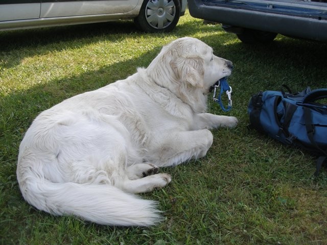 DP SAR, Lokve, zadnji dan: 10.05.09 - foto povečava