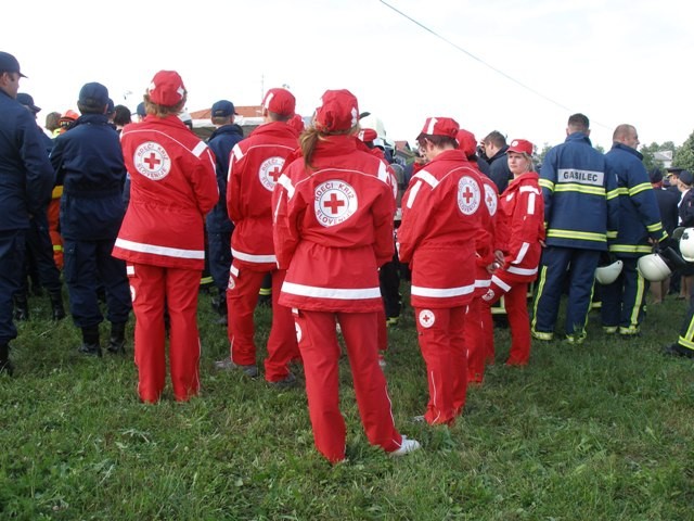 Parada v Metliki, 06.06.2009 - foto povečava