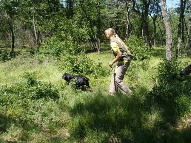 Drugi tabor DRP Burja Škoflje 2009 - foto