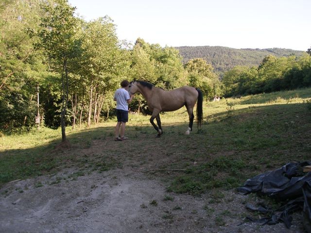 Drugi tabor DRP Burja Škoflje 2009 - foto