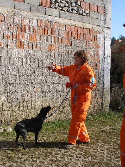 Trening na Igu, 21.11.09 - foto povečava