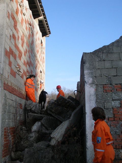 Trening na Igu, 21.11.09 - foto povečava