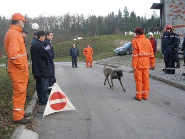 Trening na Igu, 21.11.09 - foto povečava