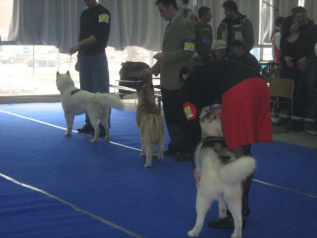 CACIB BG 2008 - foto