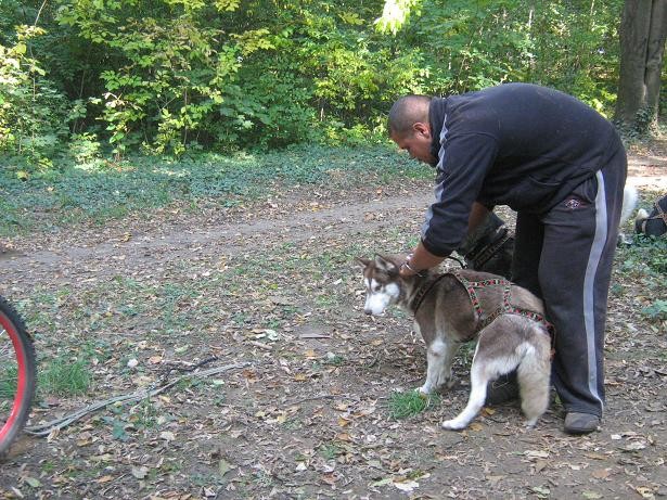 12.10.2008 - foto povečava