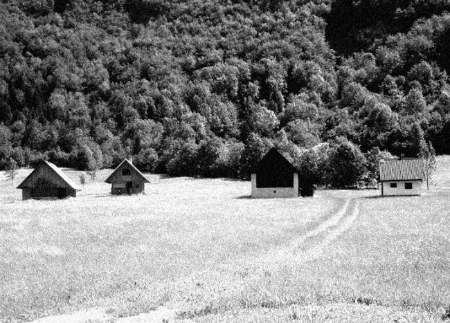 Bohinj 2007 - foto povečava