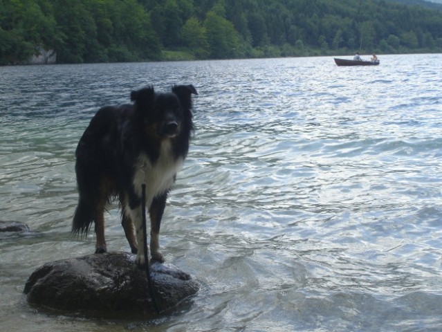 Bohinj 2007 - foto