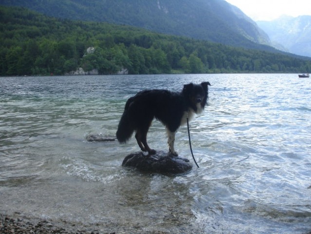 Bohinj 2007 - foto