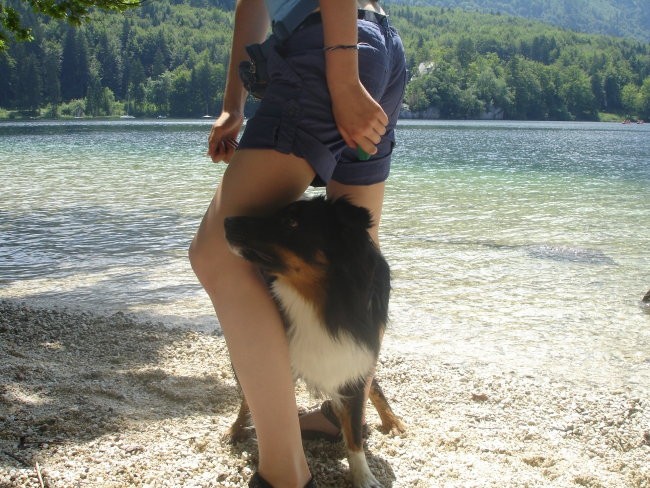 Bohinj 2007 - foto povečava