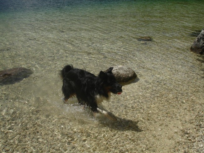 Bohinj 2007 - foto povečava