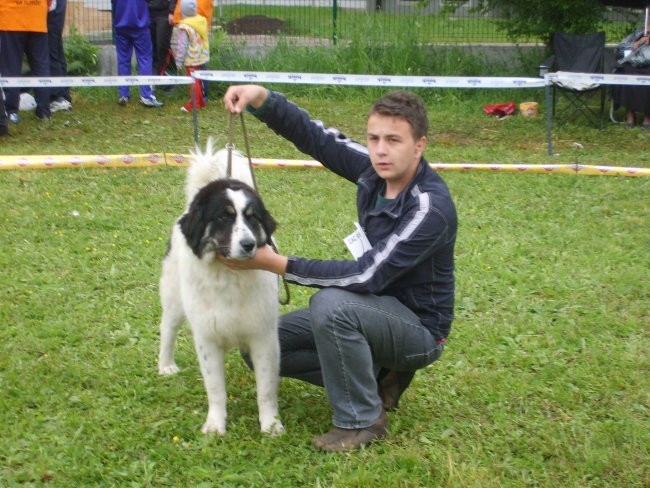 Tornjaci - foto povečava