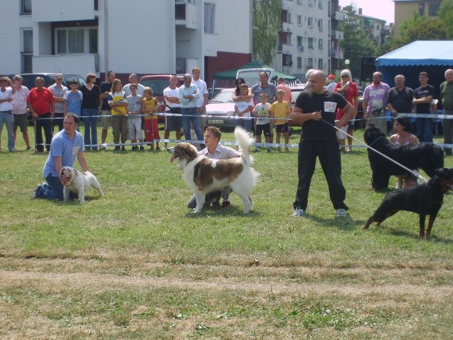Tornjaci - foto povečava