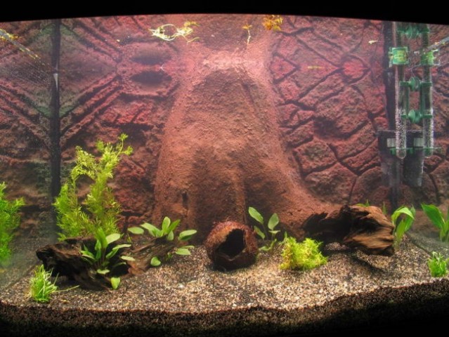 Akvarij - foto