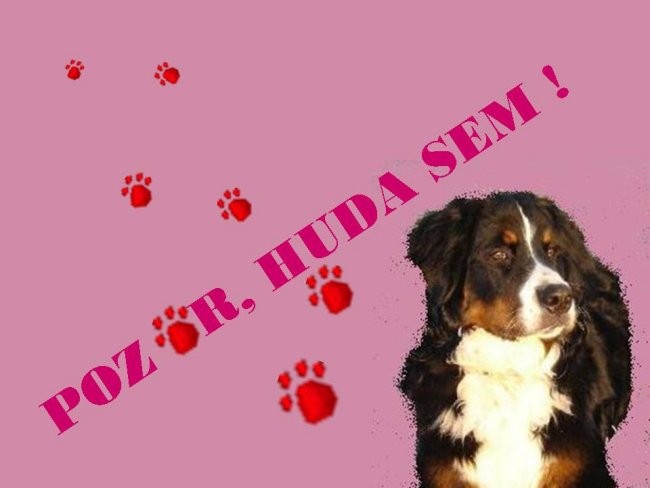 Tabla - foto povečava