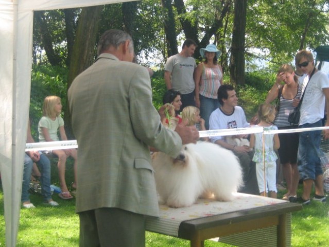 CAC Trbovlje - foto