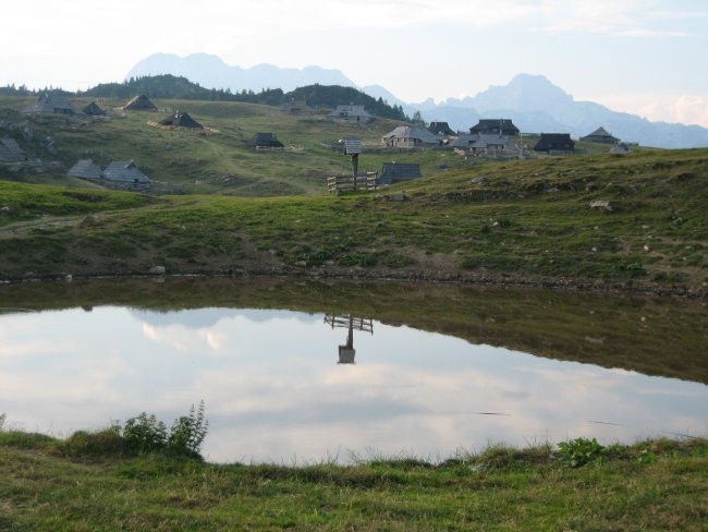 Narava - foto povečava