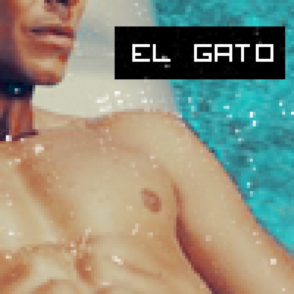 El Gato - foto povečava