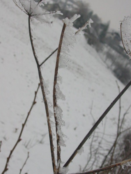 Freezing winter - foto povečava