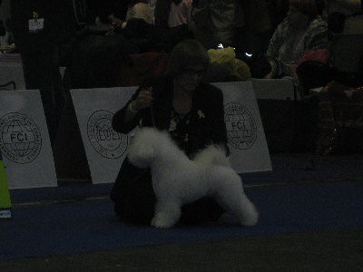 Eurodog 2008 - foto