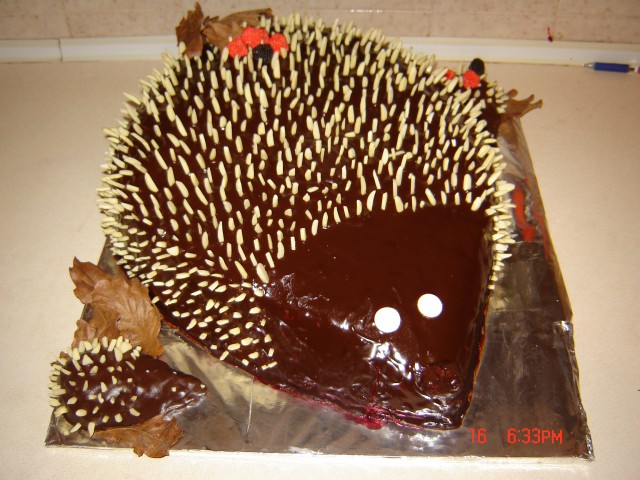Torta ježek za Vitin 2 rd.