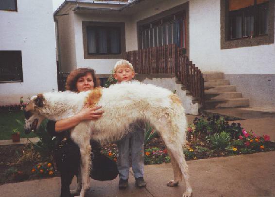 Past - foto