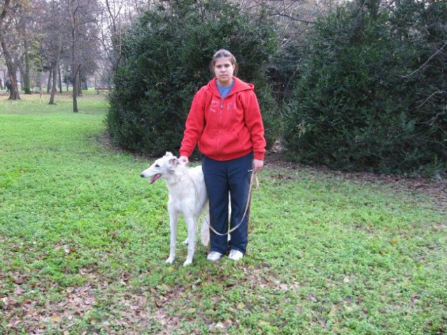 Uor borzoi from serbia - foto