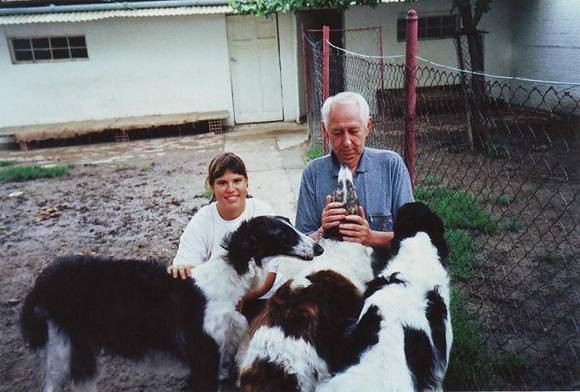 Uor borzoi from serbia - foto