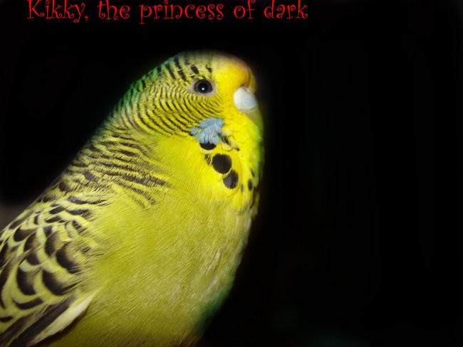 Obdelana slika od Kikky, moje dark princess, mummy, sweety :D