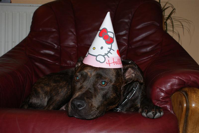 Shanna 1 leto - foto povečava