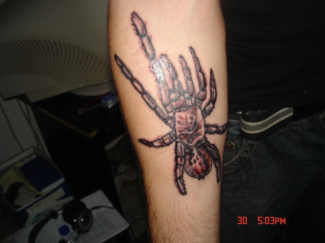 Tattoo spider - foto povečava