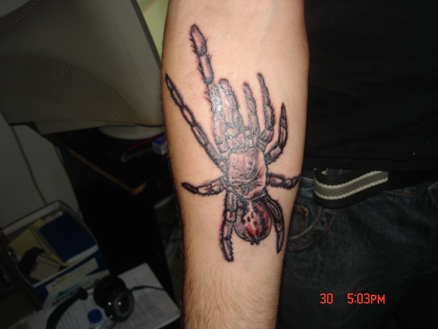 Tattoo spider - foto