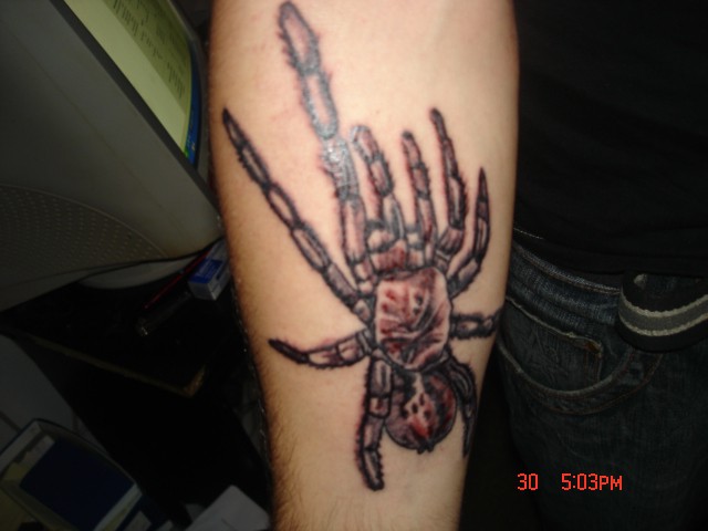 Tattoo spider - foto