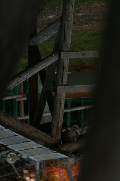 Bike Park Semmering - foto