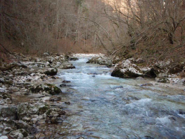 Struga Kamniške bistrice