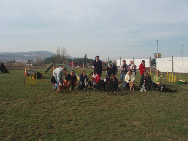 Agility srečanje 1.27.2008 - foto povečava