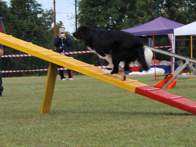 Bazovica - foto povečava