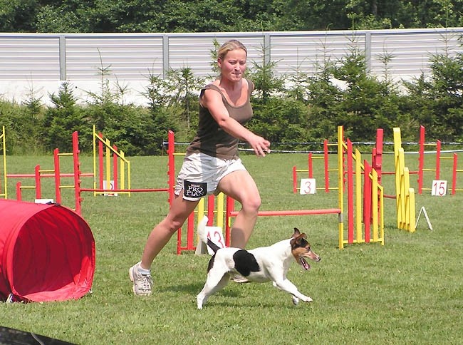 Agility tekma Domzale - foto povečava