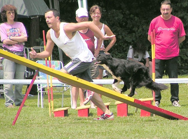 Agility tekma Domzale - foto povečava