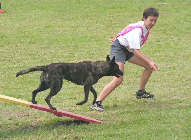 Agility tekma Zalec - foto