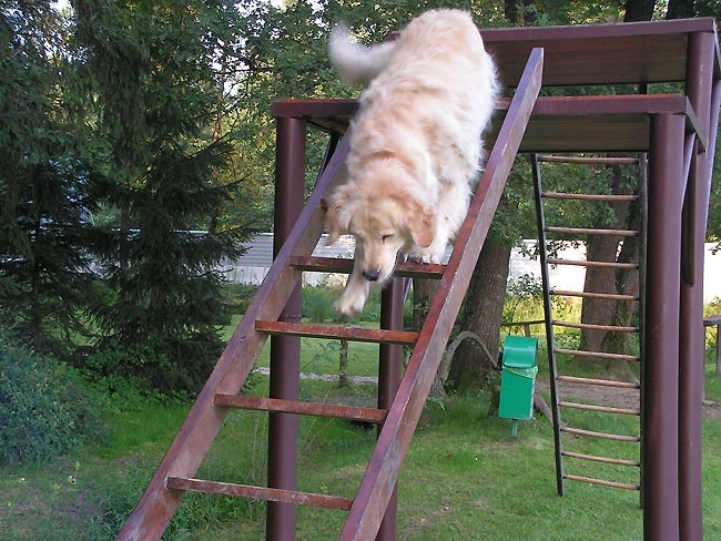 Ruševinarji trening - foto povečava