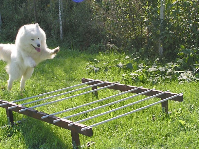 Ruševinarji trening - foto