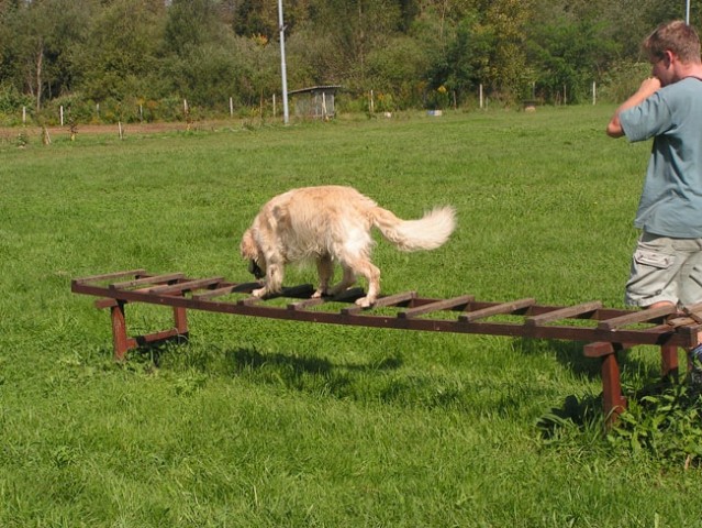 Ruševinarji trening - foto