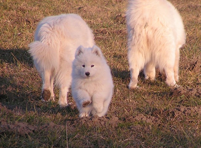 Lucky 9 tednov - foto povečava