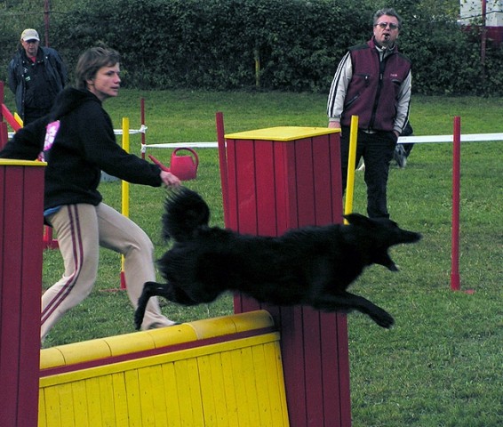 Agility tekma Hrusica - foto