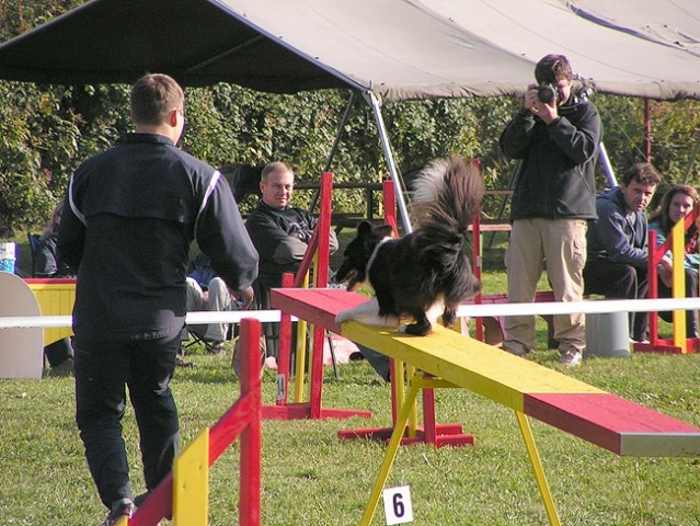 Agility tekma Hrusica - foto