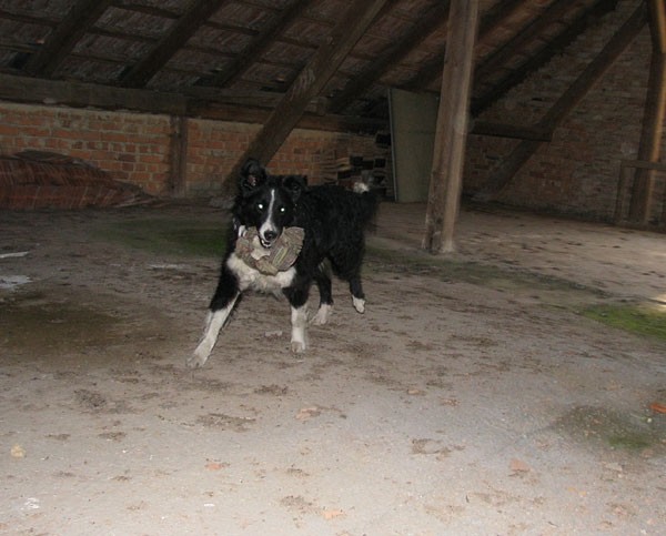 Šola Rova - trening - foto povečava