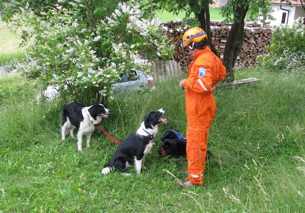 Šola Rova - trening - foto