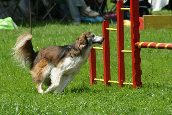 Domžale 2009 - foto povečava