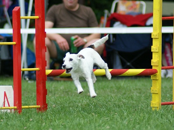 Domžale 2009 - foto povečava